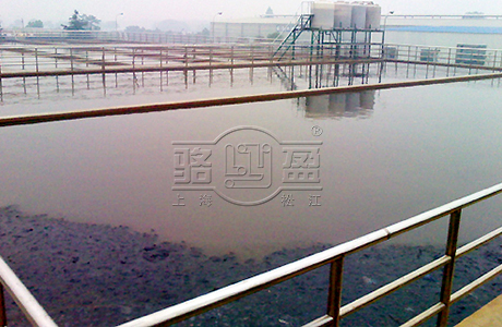 上海駱盈向百色右江區(qū)污水處理廠(chǎng)供應(yīng)橡膠止回閥